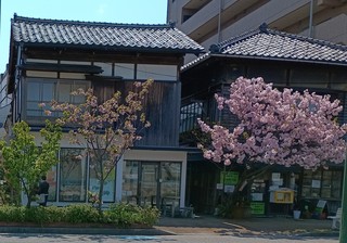 IMG_20250426_101722.jpg